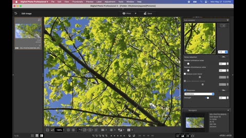 How to Edit with Canon Digital Photo Pro Software