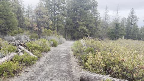 Leaving Grand Overlook Area – Whychus Creek Overlook Loop – Central Oregon – 4K