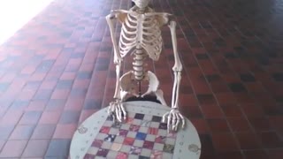 Esqueleto parado com as mãos no jogo de dama no museu de ciências [Nature & Animals]