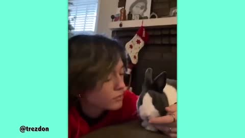 How Rabbits Choose Their Favorite Person