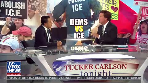 Tucker slams illegal immigrant lawyer who wants everyone to have right to vote
