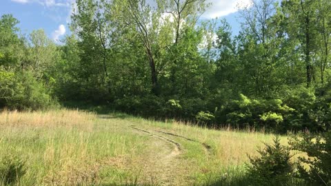 Cave Hunting Pt.2. A View From Inside. Backroads Illinois.