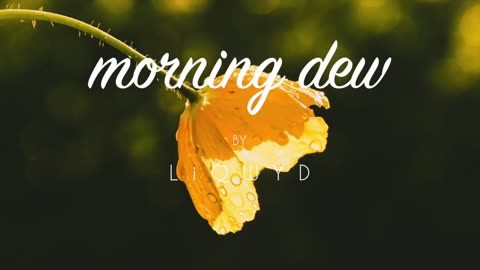 LiQWYD - Morning dew