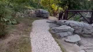 This is a good stone road