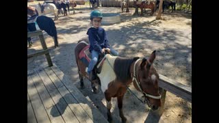 Fall Creek Falls Riding Stable Tennessee