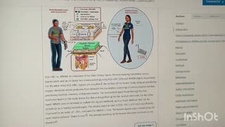 MANY BODIES VS JUST YOU'RE BODY: I.O.B. VS WBAN - CORRECTING KAREN KINGSTON'S CONTINUED CHOSEN IGNORANCE WITH PROOF AGAIN!