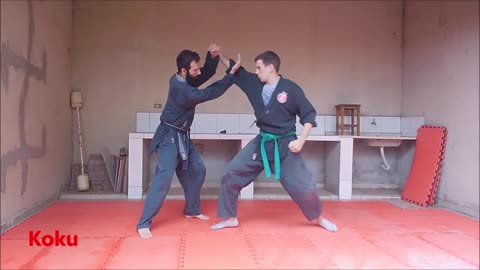 Jin ryaku no Maki parte 3 - Treinando para a faixa preta de Ninjutsu