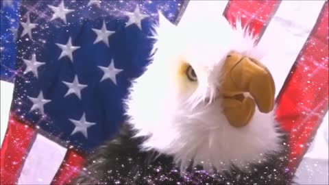 The Pledge of Allegiance to the Flag from the American Eagle Puppet