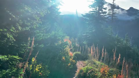 BITE-SIZED WILDS | A Radiant Lighting Display of Wonder Hiking Mount Hood | Timberline | Oregon | 4K