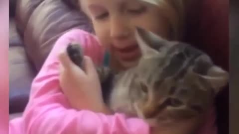 Funny and Cute Cat Videos #306