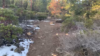 Hiking on Snowy Whychus Creek Trail – Central Oregon