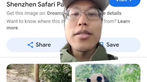 Man claims Pandas are fake