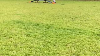 Dog tries agility course for the first time