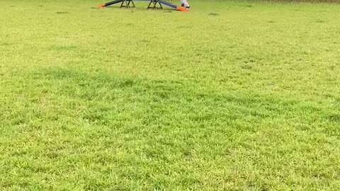 Dog tries agility course for the first time