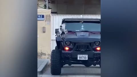 Try not to laugh, dance on a car.