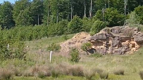 an old, renatured quarry in Lower Saxony