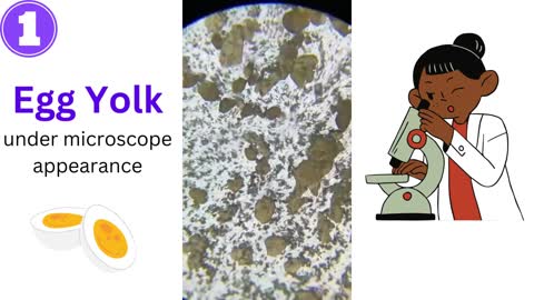 Microscope appearance of our some day to day food - Part 01