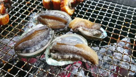 Dancing abalone