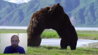 BEST BEAR FIGHT CAUGHT ON CAMERA