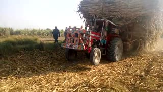 Massey fergosan 375 pakistan