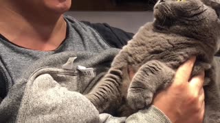 Cat Starts to Sing Along