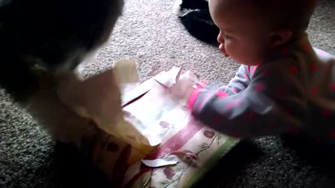 Helpful Puppy Helps Tiny Baby Open Her Christmas Present