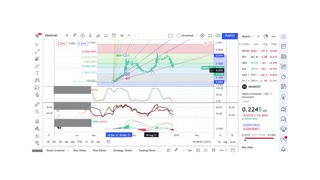 Basics to Investing - Hedera Coin HBAR - Stock Charts #061