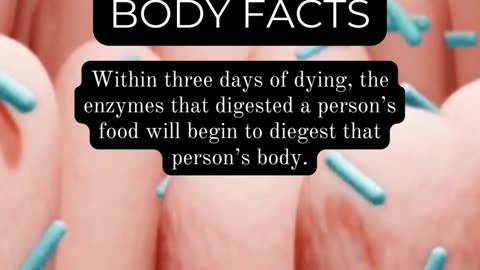 Explore Human Physiology: Incredible Body Facts
