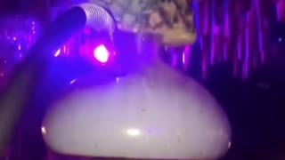 Fury Over Club Serving Glass Hookahs With Live Turtles 02