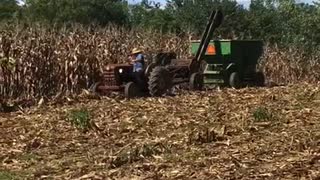Corn picking Fall 2019