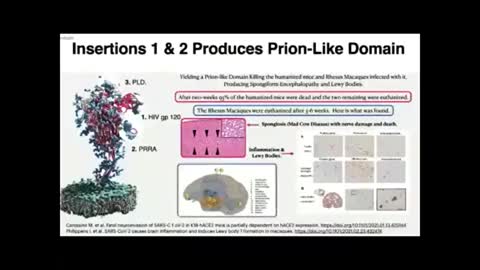 DR. RICHARD FLEMING on 'MAD COW DISEASE' (VIA THE SPIKE PROTEIN)