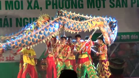 Amazing Vietnamese traditional dragon dance