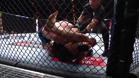 Every Khabib Nurmagomedov Finish