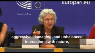 Dr Meryl Nass at European Parliament On WHO Takeover