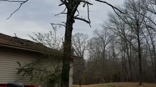 Tree Cutting Fail, Truck Pays Price