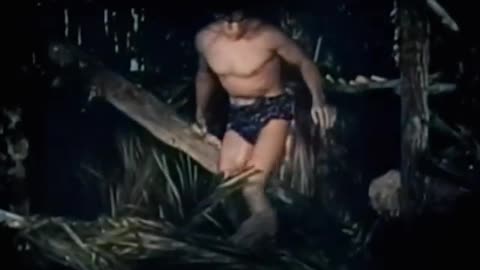 Tarzan the Fearless (1933)