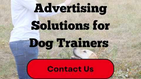 Contact Ad Campaign Agency for Marketing And Advertising Solutions For Dog Training