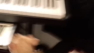 Cutest Cat Plays Piano & Videotapes Owner! MUST SEE ADORABLE!!