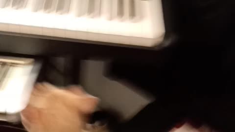 Cutest Cat Plays Piano & Videotapes Owner! MUST SEE ADORABLE!!