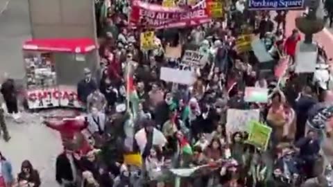 Hundreds of protesters rally in support of Hamas and terorists in Palestine in New York City
