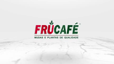 Frucafé Mudas e Plantas - Quem Somos?