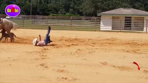 Horse Fall | Trying Not To Laugh. Laughing Funny Video | Fail on Horseback