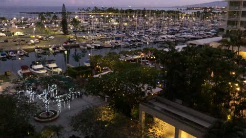 Bird Song Over the Harbor at Dawn, Ilikai Hotel, Waikiki