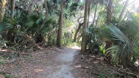 Trimble Park Mt. Dora Florida (An Orange County Florida Park)