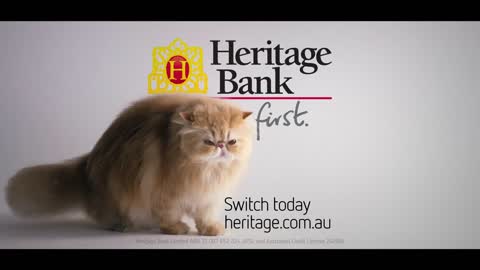 Heritage Bank 'Cats first' Fat Cats 30 sec TV/Online