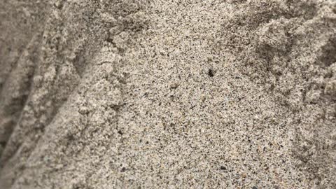 Sand sand