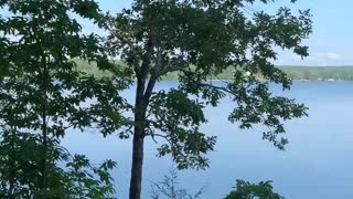 Relaxing horseback ride along the Coosa River