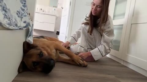 German Shepherd meets his human mom in the morning