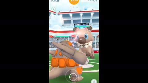 Pokémon GO 46-Rockruff Raid