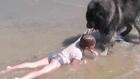 Dog Save his little girl from the Ocean 🌊💗